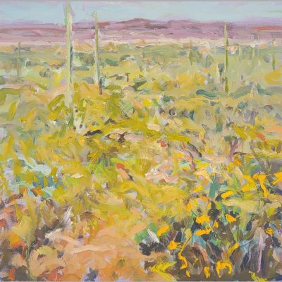 Desert Spring; 22" x 24"; Oil