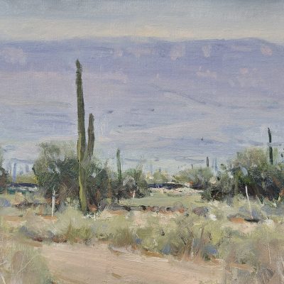 Desert Morning; 9" x 12"; Oil